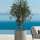 Grau/Beige