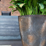 Hugo Oyster Imperial Braun
