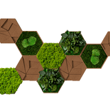 Kork-Hexagon Set, 10er Set