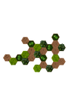 Kork-Hexagon Set, 25er Set