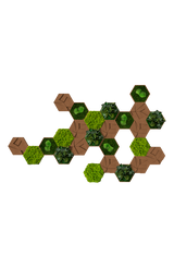 Kork-Hexagon Set, 25er Set