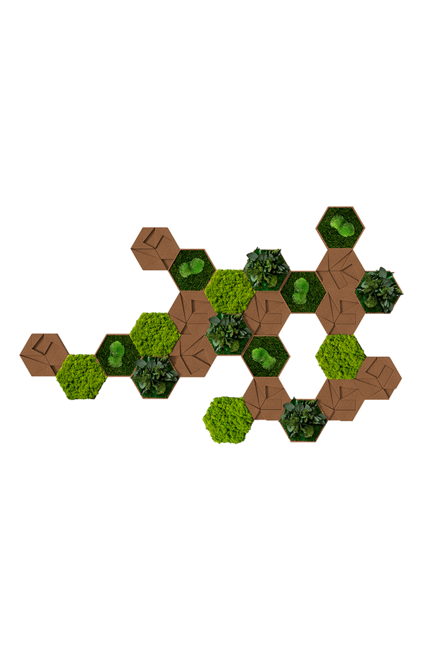 Kork-Hexagon Set, 25er Set