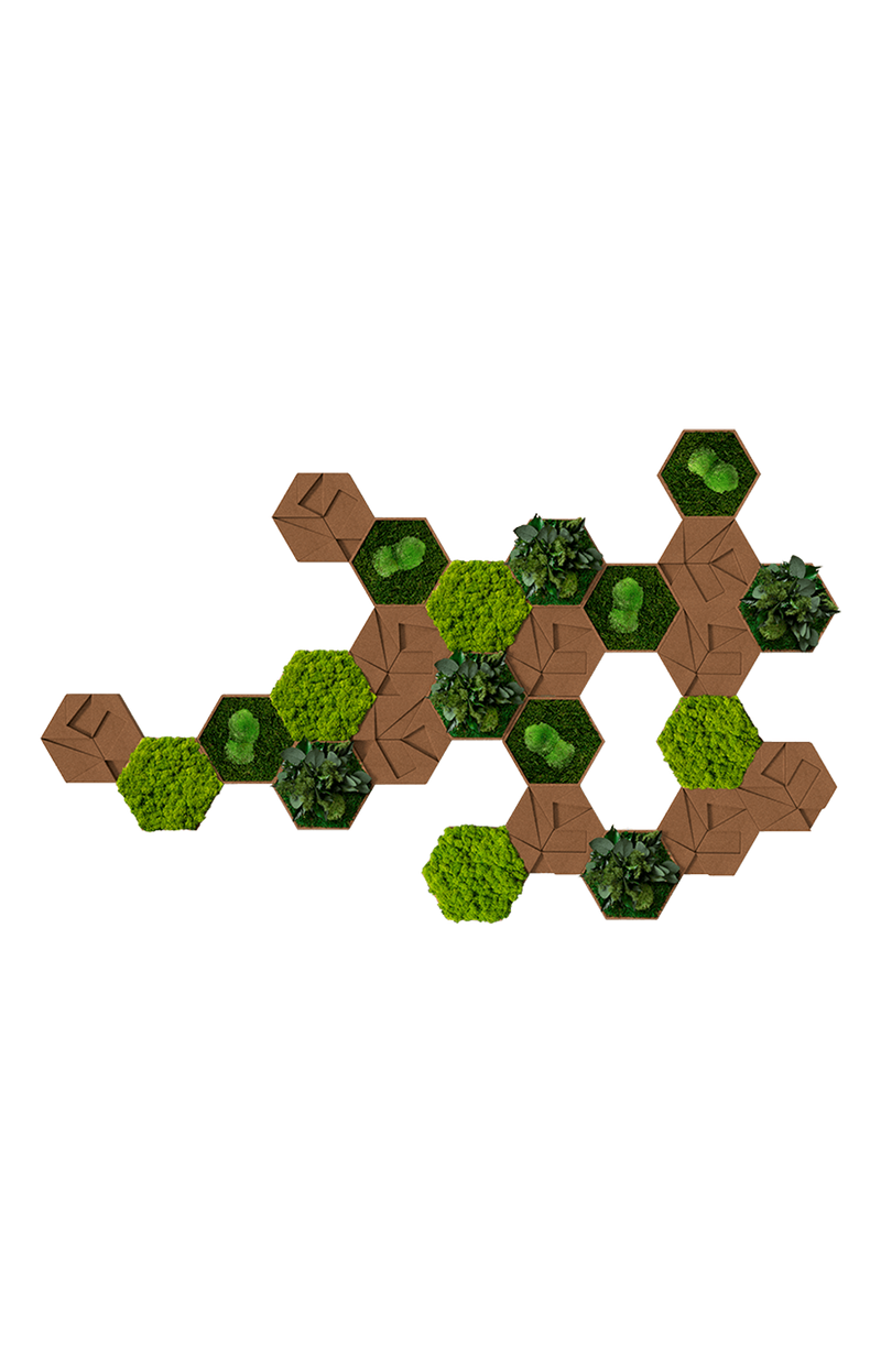 Kork-Hexagon Set, 25er Set