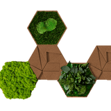 Kork-Hexagon Set, 5er Set