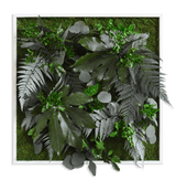 Pflanzenbild im Dschungeldesign, weißer Rahmen 55x55 cm