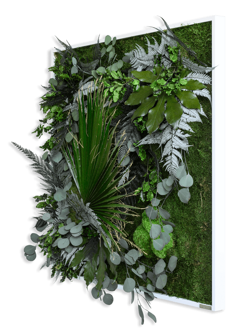 Pflanzenbild im Dschungeldesign, weißer Rahmen 80x80 cm