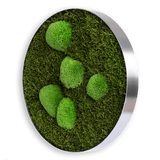 Moosbild ELLIPSOID Wald- und Ballenmoos