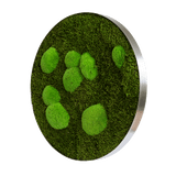Moosbild ELLIPSOID Wald- und Ballenmoos