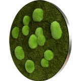 Moosbild ELLIPSOID Wald- und Ballenmoos