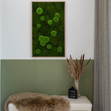 Moosbild Wald- und Ballenmoos 100x60 cm