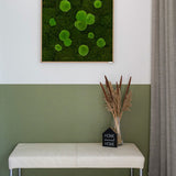 Moosbild Wald- und Ballenmoos 80x80 cm