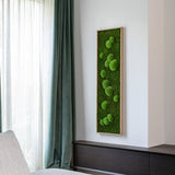 Moosbild Wald- und Ballenmoos 140x40 cm