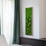 Moosbild Verlauf Wald- und Ballenmoos 140x40 cm